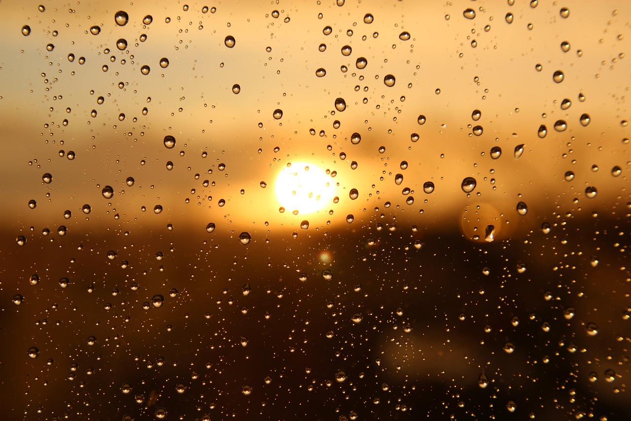 rain, sun, window-3940580.jpg